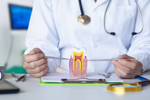Best Emergency Orthodontic Services in Parker, TX